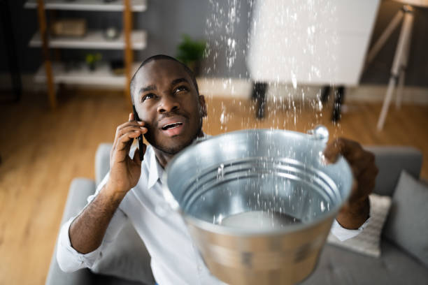 Best Water damage restoration company  in Lockport, NY