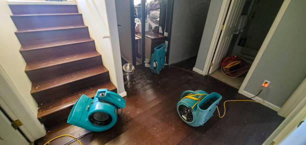 Water damage restoration mold remediation in NY