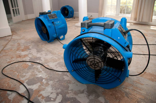 Professional Water damage restoration in NY