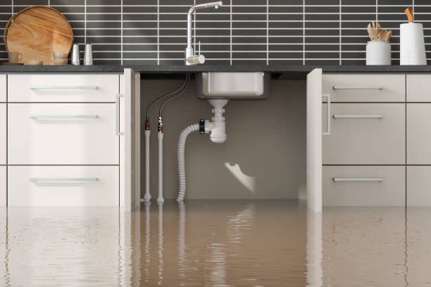 Best Flooded house restoration  in Lockport, NY