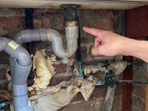 Best Water damage restoration near me  in Lockport, NY
