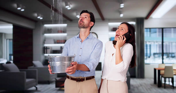 Best Local water damage restoration  in Lockport, NY