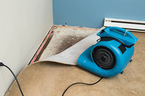 Best Local water damage restoration  in Lockport, NY
